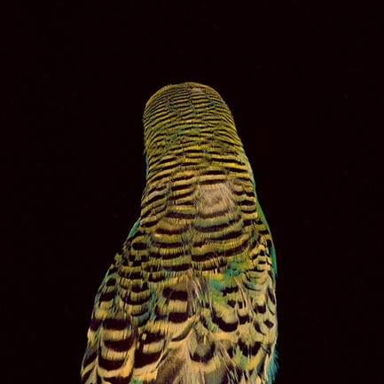 Cover image Cover image